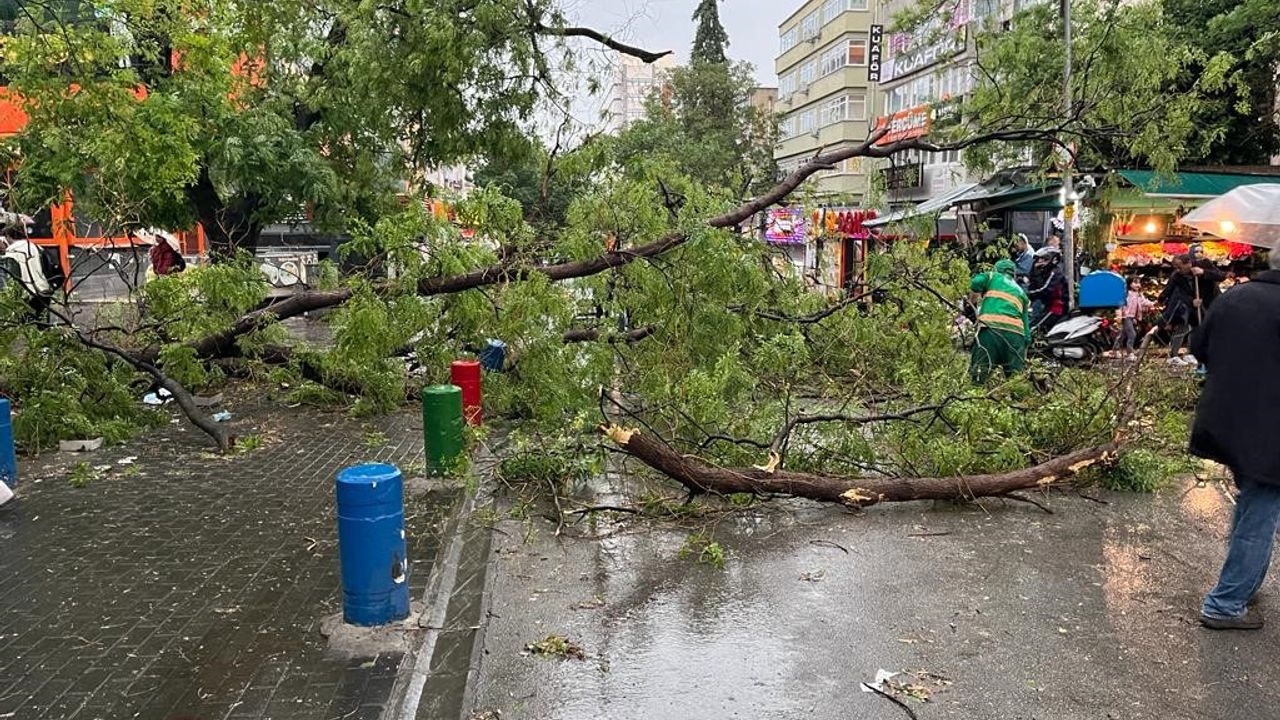 Ankara'da fırtına ağaçları devirdi!
