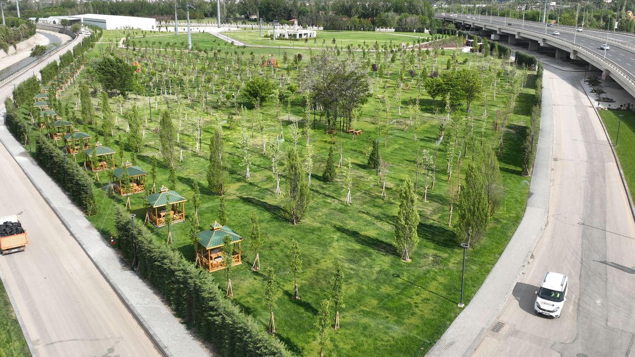 Atatürk Orman Çiftliği’nde yeni yeşil alan çalışmaları