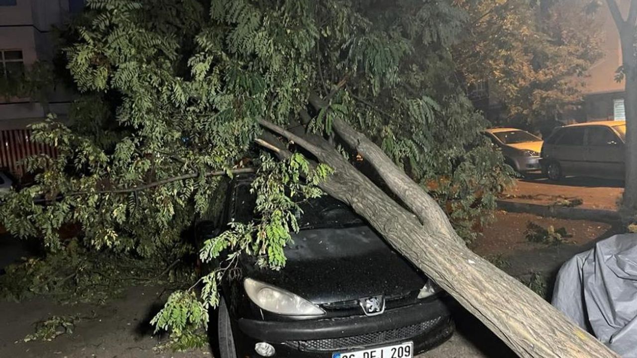 Ankara'da yaşanan fırtına sonucu ağaçlar araçların üzerine devrildi!