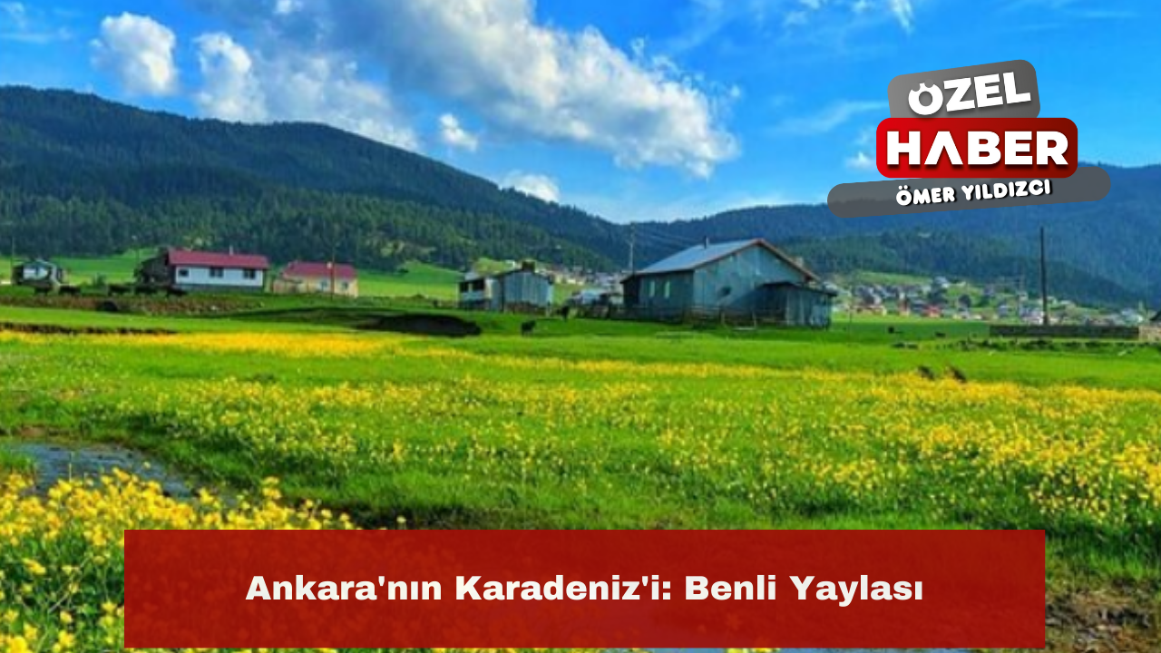 Ankara'nın Karadeniz'i: Benli Yaylası