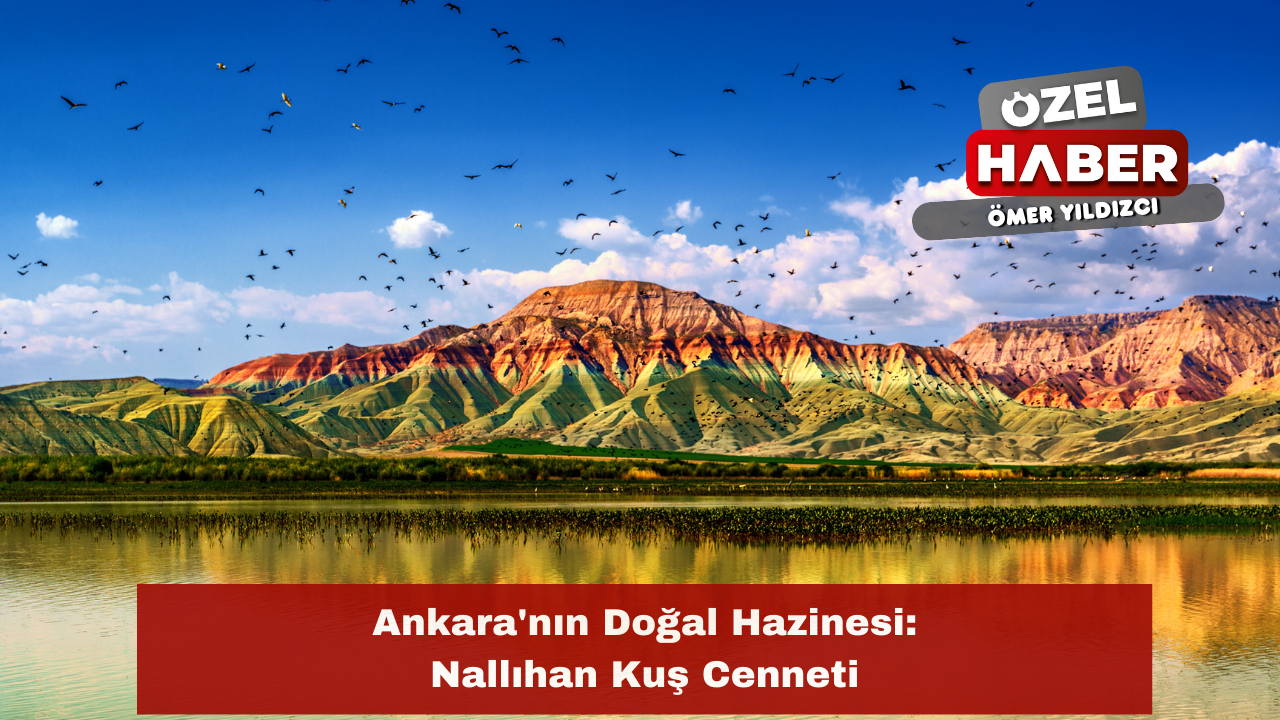 Ankara'nın Doğal Hazinesi: Nallıhan Kuş Cenneti