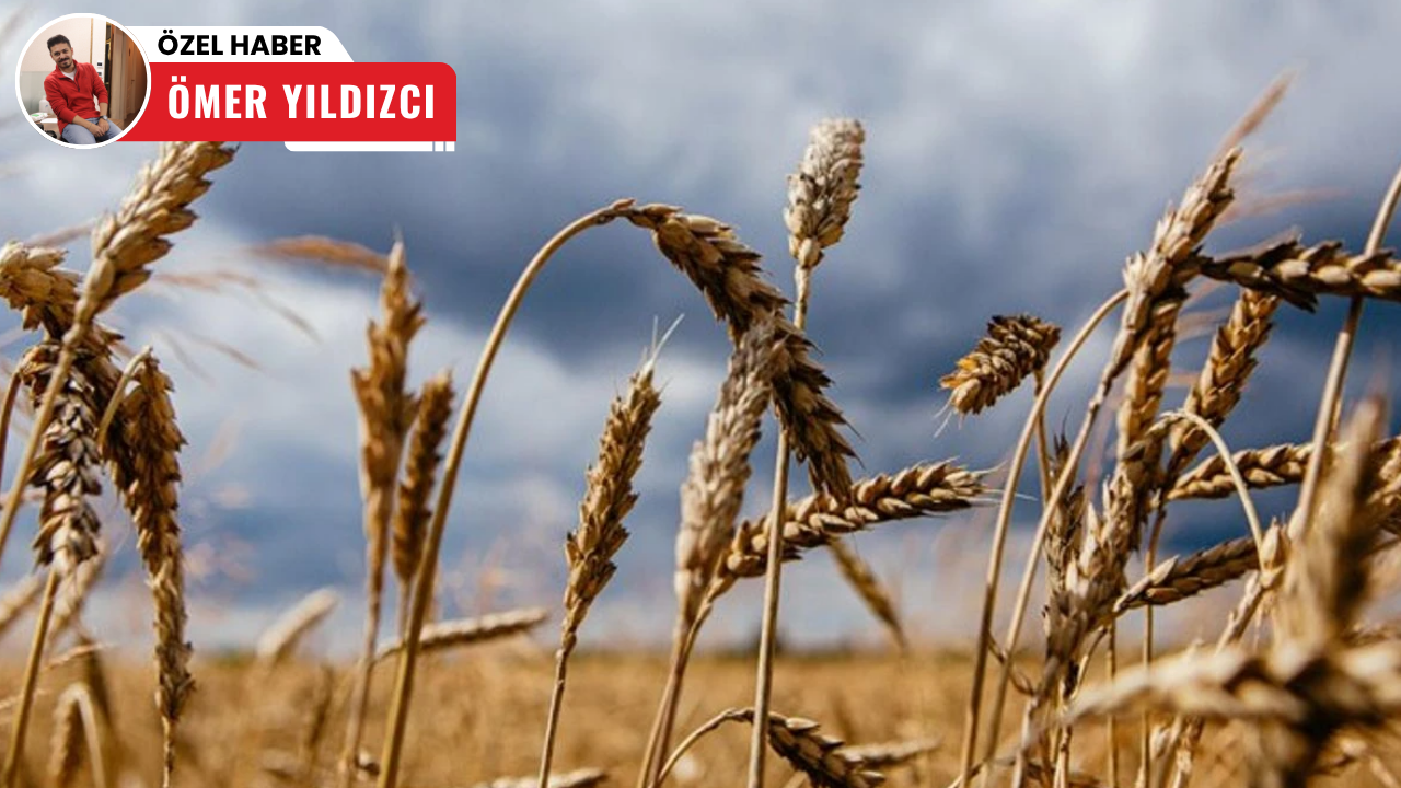 Polatlı Ticaret Borsası'nda Hububat fiyatları geçen yıla göre yükselişte: Buğday ve Arpada önemli artış