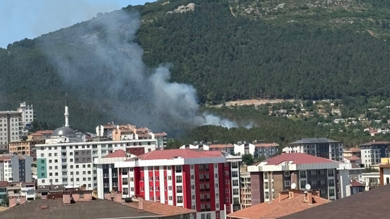 Aydos Ormanı'nda yangın paniği!