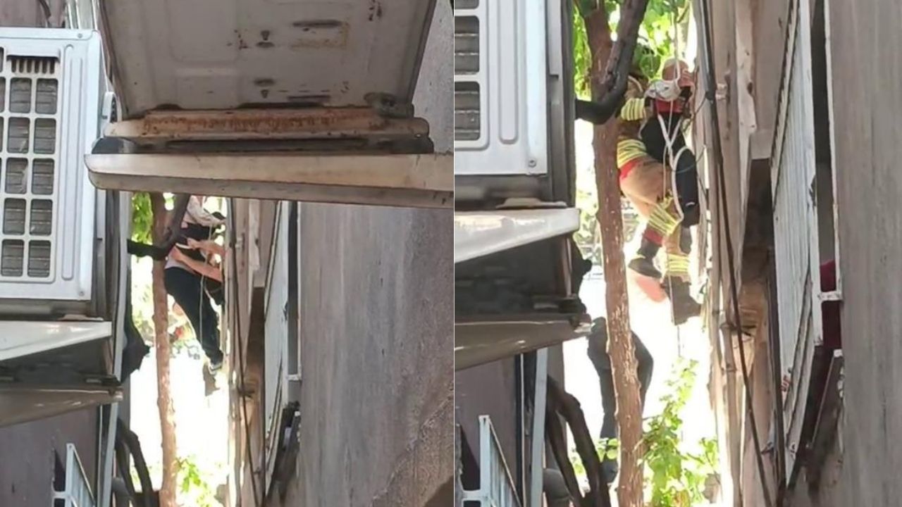 Dengesini kaybedip düştü: Ağaçta asılı kaldı