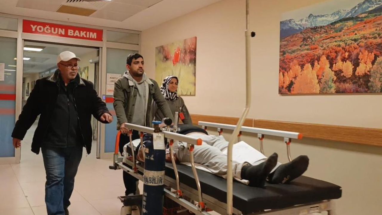 Toplayıp yediği mantar, hastanelik etti!