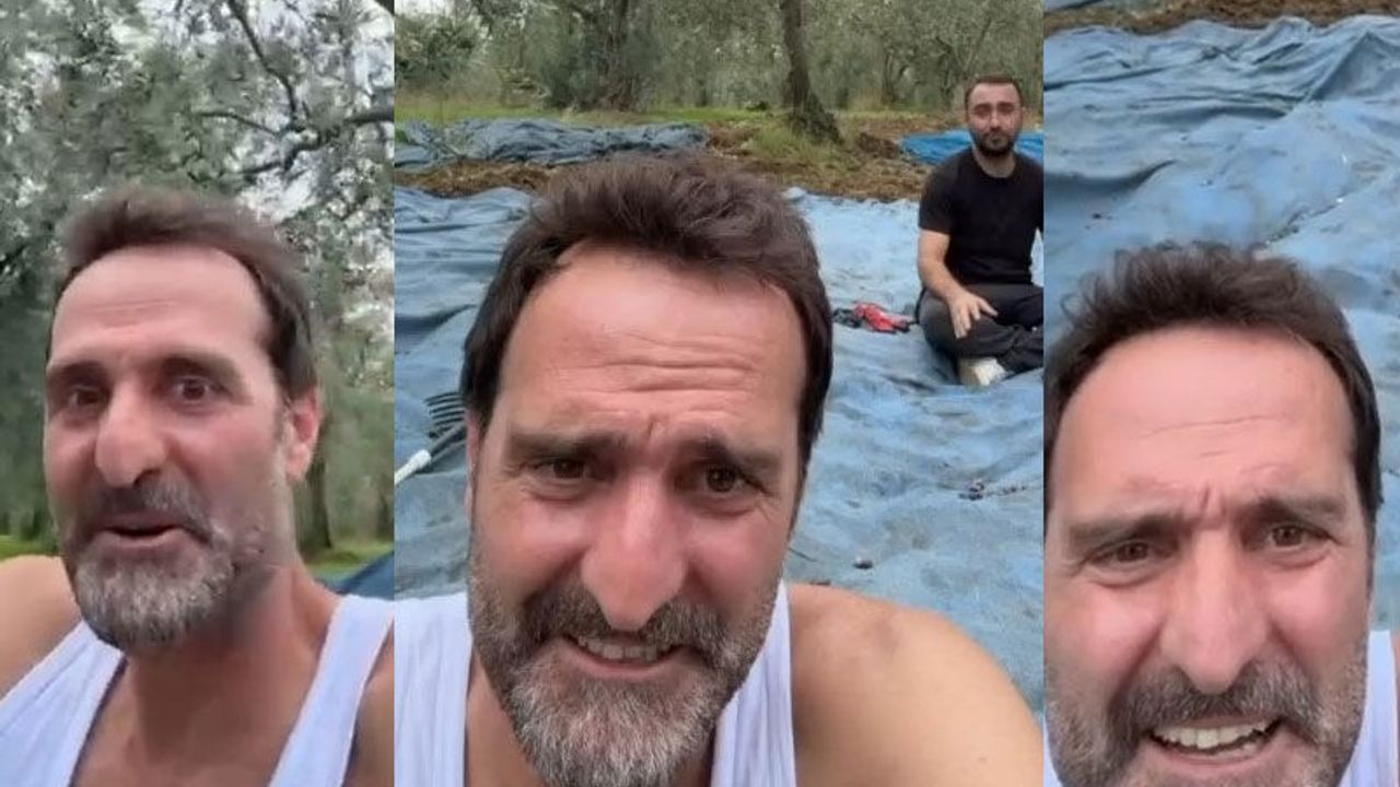 Ünlü oyuncu zeytinliğinde ilk hasadını yaptı