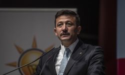 AK Partili Dağ'dan oyların yanlış girildiği iddiasına 'Bahane' yorumu