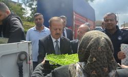 Başkan Turgut, seranın ilk ürünlerini dağıttı