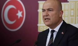 CHP İzmir Milletvekili Murat Bakan kimdir?