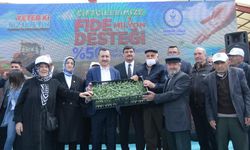 Kahramankazan'da çiftçilere fide desteği...