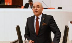 Mevlüt Karakaya kimdir, kaç yaşında, nereli?