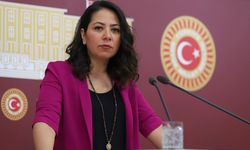 Sera Kadıgil'den "Doktor dövebiliyoruz" diyen vatandaşa tepki