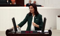 Lale Karabıyık kimdir, yeni CHP MYK üyesi Lale Karabıyık kaç yaşında, nereli, ne mezunu?