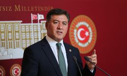 CHP Ankara Milletvekili Murat Emir kimdir?