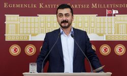 Yeni CHP MYK üyesi Eren Erdem kimdir, kaç yaşında nereli, ne mezunu?
