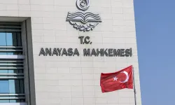 AYM'den sahipsiz köpek düzenlemesine onay
