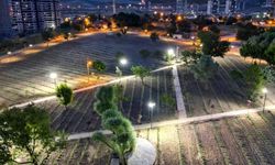 Başkan Altınok'tan fotoğrafçılara davet