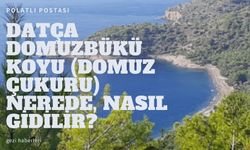 Datça Domuzbükü Koyu (Domuz Çukuru) Nerede, Nasıl Gidilir? Domuz Bükü Kamp Alanı