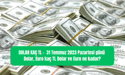 DOLAR KAÇ TL? – 31 Temmuz 2023 Pazartesi günü Dolar, Euro kaç TL? Dolar ve Euro ne kadar?