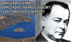 Domuz Adası kimin? Domuz Adası'na nasıl gidilir? Sedat Simavi Koyu nerede?