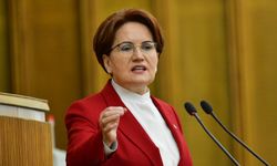 Meral Akşener: Derhal emekli olup evine gitmelidir