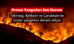 Orman Yangınları Son Durum: Türkiye'de Orman Yangınları Nerede?