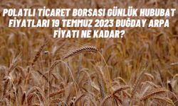 Polatlı Ticaret Borsası günlük hububat fiyatları 19 Temmuz 2023 buğday arpa fiyatı ne kadar?