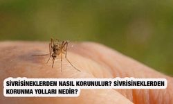 Sivrisineklerden nasıl korunulur? Sivrisineklerden korunma yolları nedir?