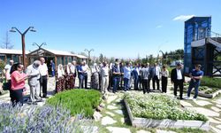Sosyal ve kültürel etkinliklerin adresi; ‘‘Endemik Vadi’’