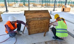Karataş Geçici Hayvan Bakımevi ve Rehabilitasyon Merkezi’nde çalışmalar tüm hızıyla sürüyor
