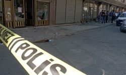 Amca-yeğen kavgasında kan gövdeyi götürdü!