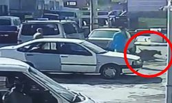 Ankara'da başıboş pitbull, başka bir evcil köpeği çenesini kopardı