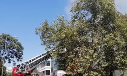 Ankara’da oto lastikçide korkutan yangın