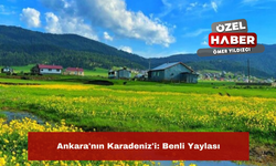 Ankara'nın Karadeniz'i: Benli Yaylası