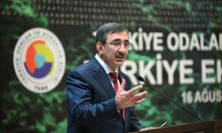 Cevdet Yılmaz: Türkiye ekonomisi 2023 yılının ilk çeyreğinde yüzde 4 büyümüştür