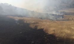 Diyarbakır'daki örtü yangını kontrol altına alındı