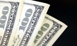 Dolar ve Euro fiyatları ne kadar oldu? 1 dolar ne kadar? 1 Euro ne kadar? 14 Ağustos döviz fiyatları