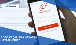 E Devlet Çalışma Hayatım Hatası Nedir? E Devlet Çalışma Hayatım Hatası Nasıl Çözülür?