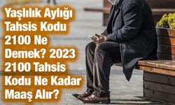 Yaşlılık Aylığı Tahsis Kodu 2100 Ne Demek? 2023 2100 Tahsis Kodu Ne Kadar Maaş Alır?
