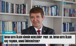 İrfan Kaya Ülger kimdir nerelidir?  Prof. Dr. İrfan Kaya Ülger kaç yaşında, hangi üniversitede?