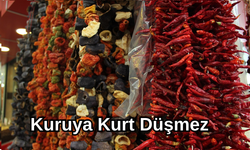 Bir tatlı telaş "Kuruya kurt düşmez"