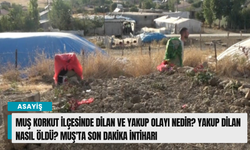 Muş Korkut ilçesinde Dilan ve Yakup olayı nedir? Yakup Dilan nasıl öldü? Muş'ta son dakika intiharı