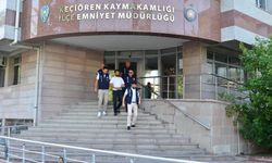 Paw Guards yöneticisine hapis cezası!