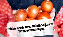 Binbir Derde Deva Polatlı Soğanı'nı Tatmayı Unutmayın!
