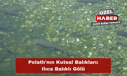 Polatlı’nın kutsal balıkları: Ilıca Balıklı Gölü