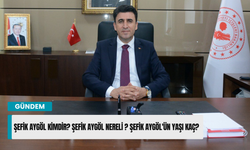 Şefik Aygöl kimdir? Şefik Aygöl nereli ? Şefik Aygöl'ün yaşı kaç?