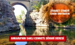 Ankara'nın Saklı Cenneti: Süvari Deresi
