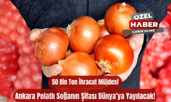 Ankara Polatlı Soğanın Şifası Dünya’ya Yayılacak! 50 Bin Ton İhracat Müjdesi