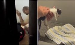 Ankara'da 'sütanne' vaadiyle yavru kedilere işkence! Hayvanseverler tespit etti
