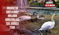 Ankara'da unutulmaz anıların biriktirildiği yer: Kuğulu Park